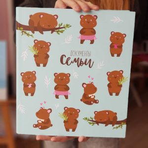 папка для документов и рисунков медведи