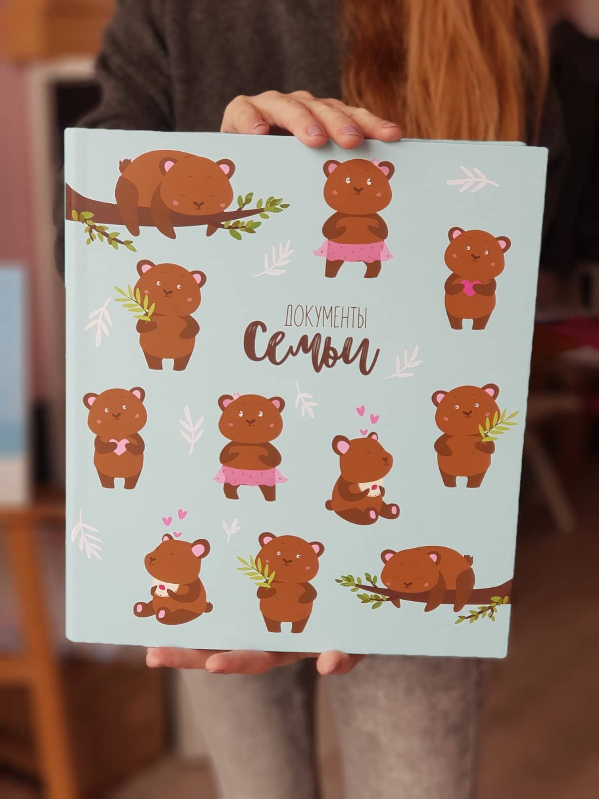 папка для документов и рисунков медведи