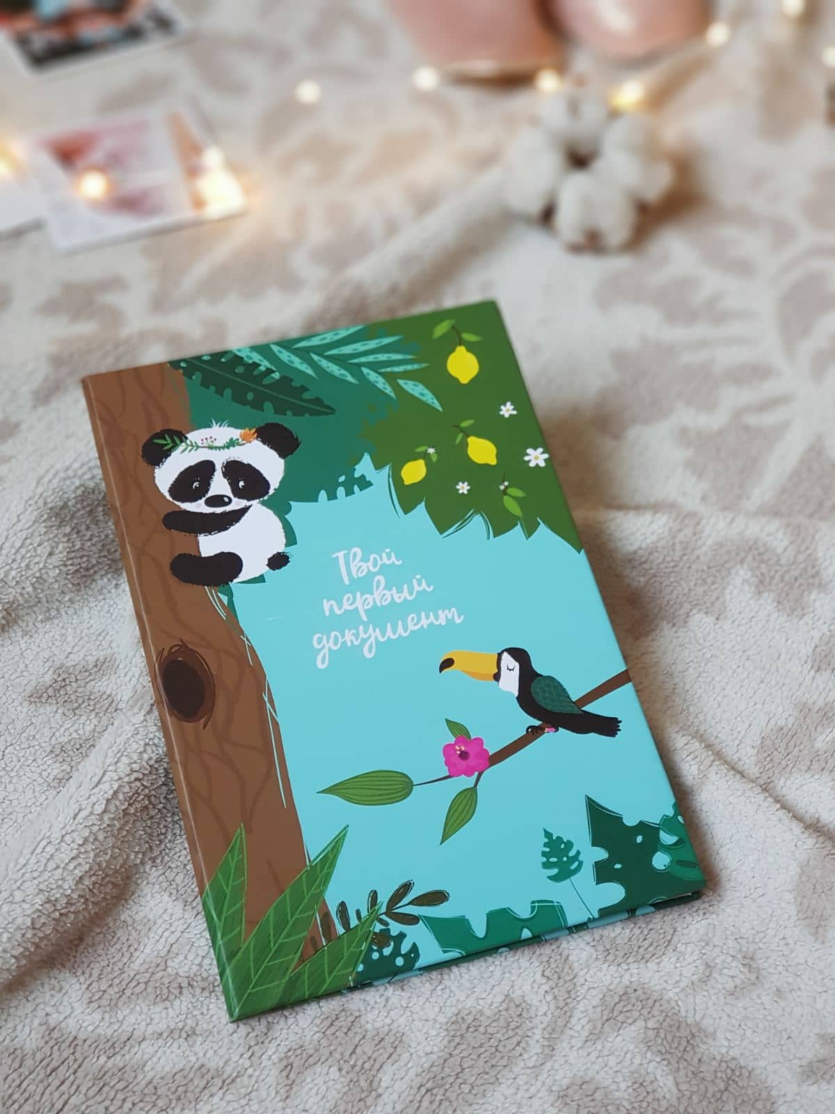 Папка для свидетельства Панды